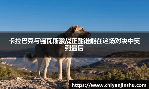 彩神Vl官方平台